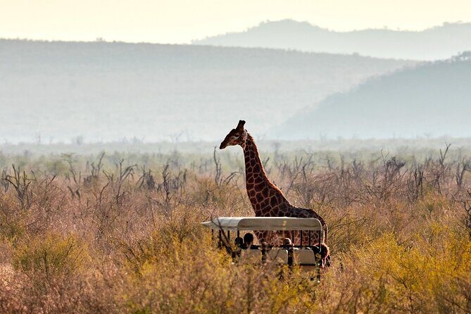 1 Night Madikwe Game Reserve - FAQ
