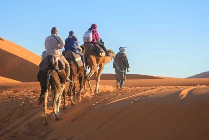 1 night Merzouga camel Trekking - Why This Tour Offers Great Value