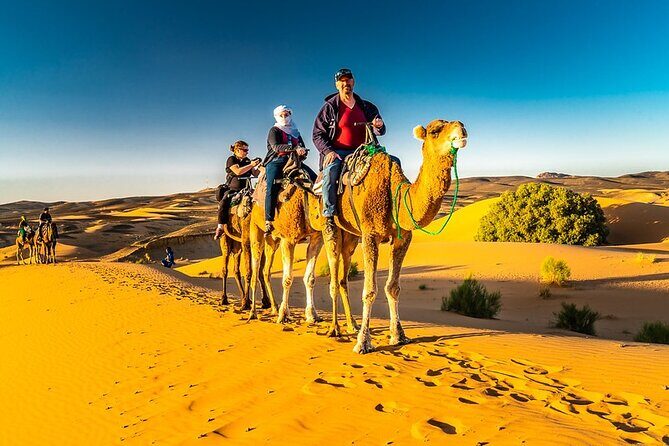 1 night Merzouga camel Trekking - FAQs