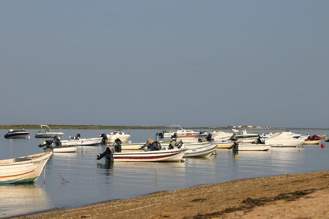 1-or-2-hour-speed-boat-tour-ria-formosa
