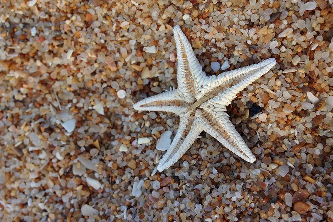 1-or-2-hour-speed-boat-tour-ria-formosa