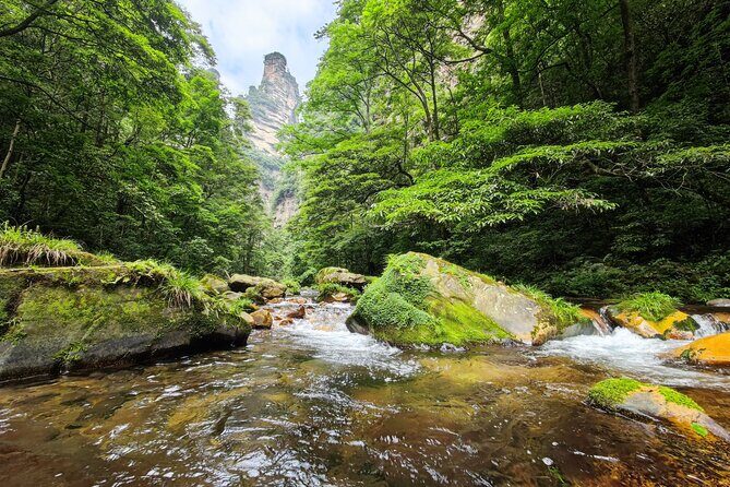 1 "Pandora" Day Trip-Zhangjiajie National Park(Avatar Mountain Scenery) - What Makes This Tour Stand Out?