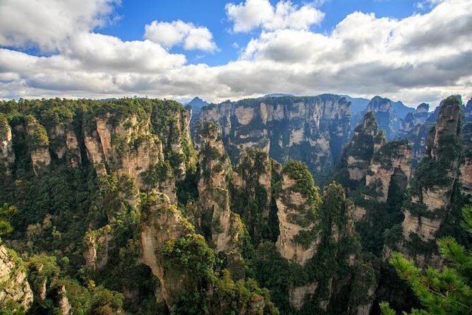 1 "Pandora" Day Trip-Zhangjiajie National Park(Avatar Mountain Scenery) - Authentic Experiences from Past Travelers