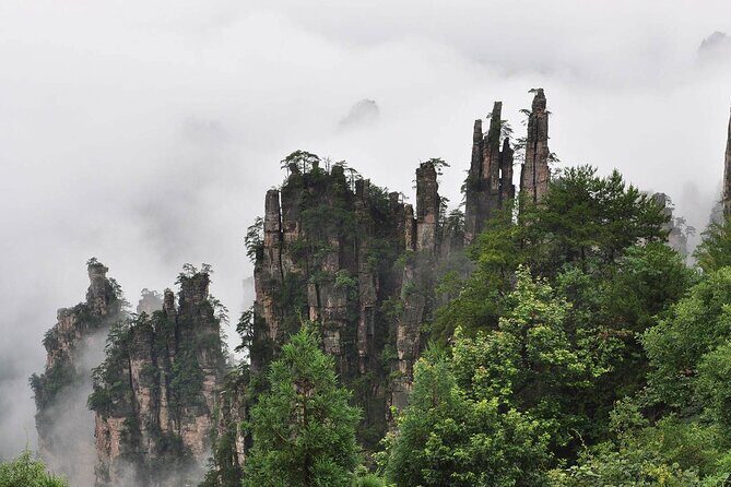 1 "Pandora" Day Trip-Zhangjiajie National Park(Avatar Mountain Scenery) - Summary of the Experience’s Value