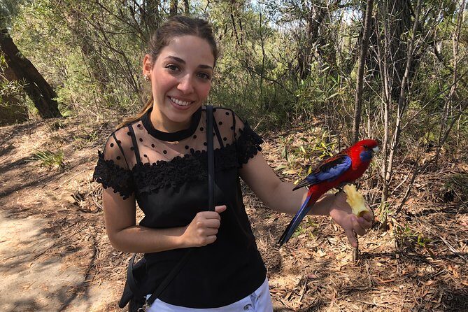 #1 Private Blue Mountains Tour by authentic story telling locals - The Price: Is It Worth It?