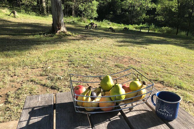 #1 Private Blue Mountains Tour by authentic story telling locals - Who Will Love This Tour?