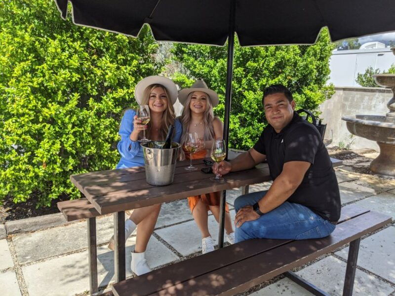 1-rated-wine-tour-in-fredericksburg-texas
