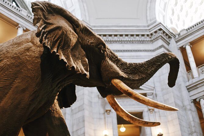 #1 Smithsonian Museum of Natural History | Satisfaction Guarantee - An In-Depth Look at the Smithsonian Museum of Natural History Tour