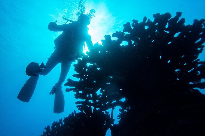 1-tank-discover-scuba-at-koloa-landing-with-no-experience-needed-2