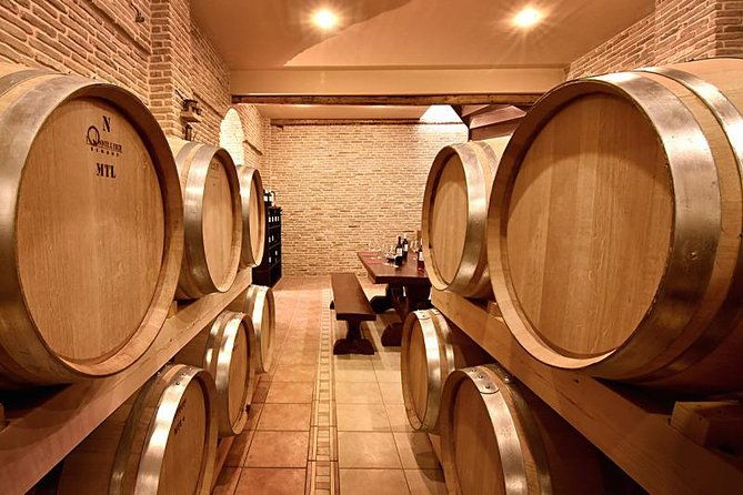 1-wine-tour-nemea-the-lion-of-nemea