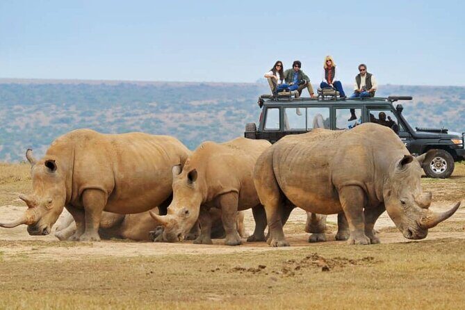 10-Day African Safari in Uganda from Kampala - Who Will Love This Safari?