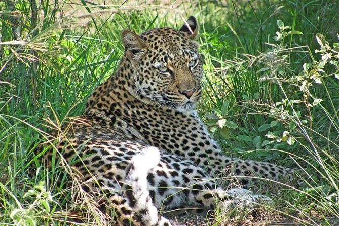 10 Day Best of Uganda Adventure Safari - Day 7: Moving to Lake Mburo