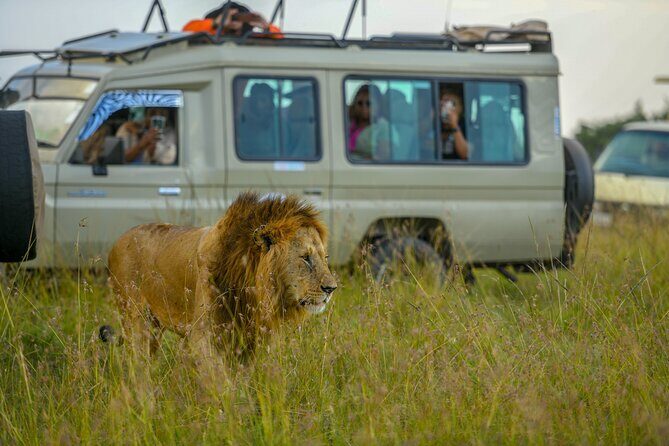 10 Day Bush and Beach Safari in Nairobi - Key Points