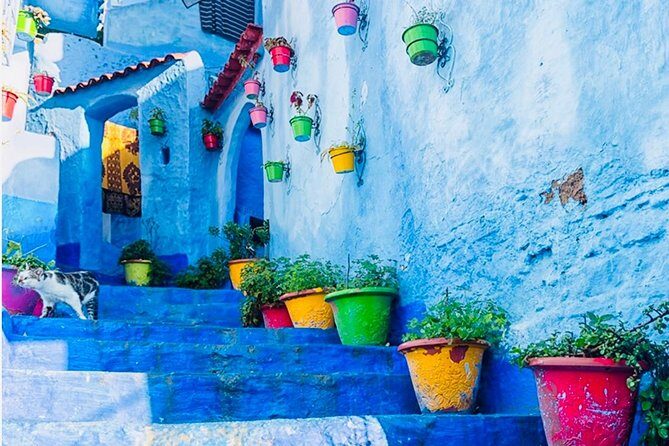 10 Day Classic Tour - Casablanca > Casablanca - Marrakech to Essaouira: Coastal Charm