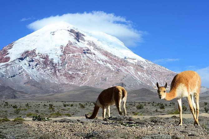 10-day-ecuador-highlights
