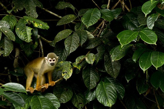 10-day-galapagos-and-amazon-quest