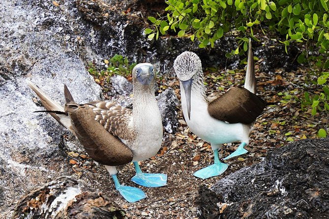 10-day-galapagos-multi-sport