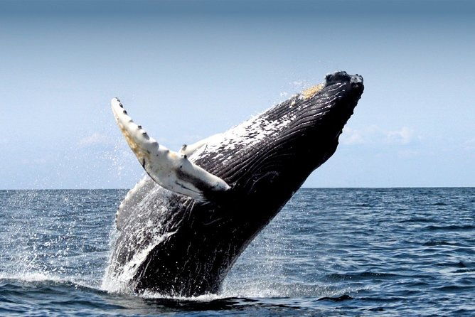 10-day-iceland-with-reykjavik-golden-circle-akureyri-blue-lagoon-south-snaefells