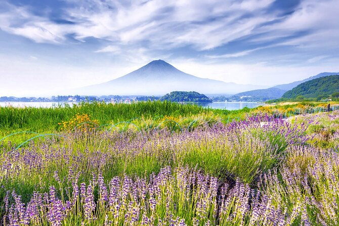 10-day-japan-private-tour-unveiling-maximum-attractions