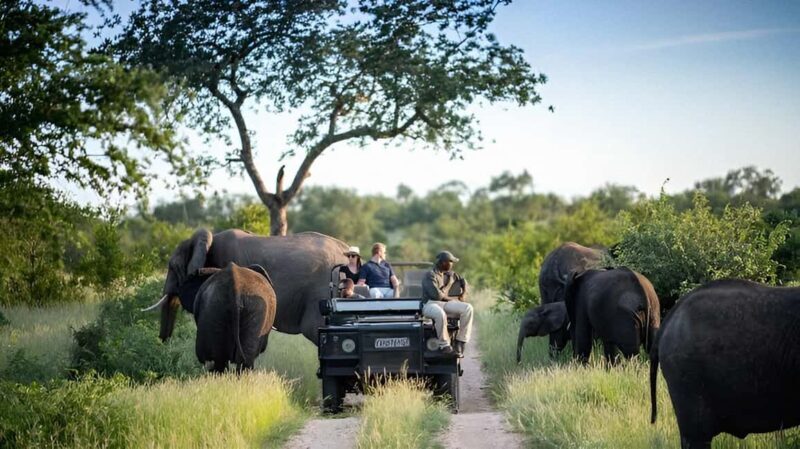 10 day Kruger and beyond photographic tour - FAQs