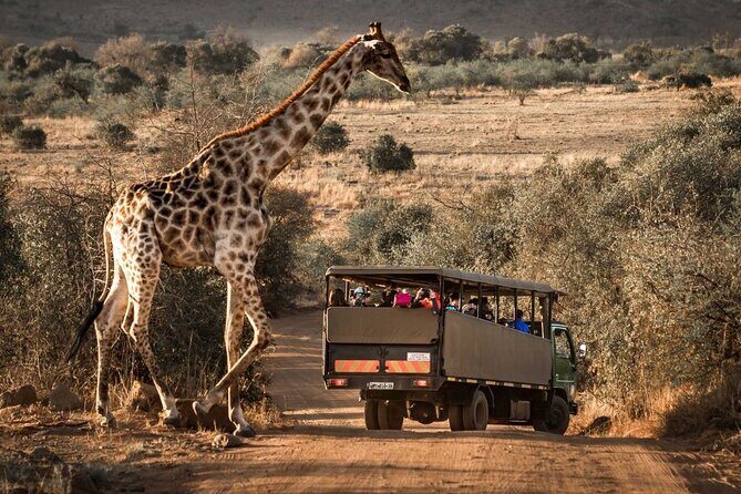 10-Day Private Tour Johannesburg to Cape Town - Exploring the Itinerary in Detail