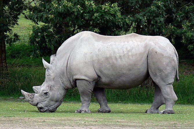 10 Day South Africa Tour- Johannesburg- Kruger Park - Durban - Cape Town - Starting in Johannesburg and Soweto