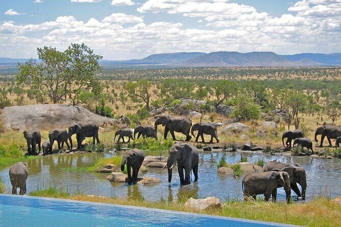 10 Day South Africa Tour- Johannesburg- Kruger Park - Durban - Cape Town - Coastal Towns and the Wild Coast