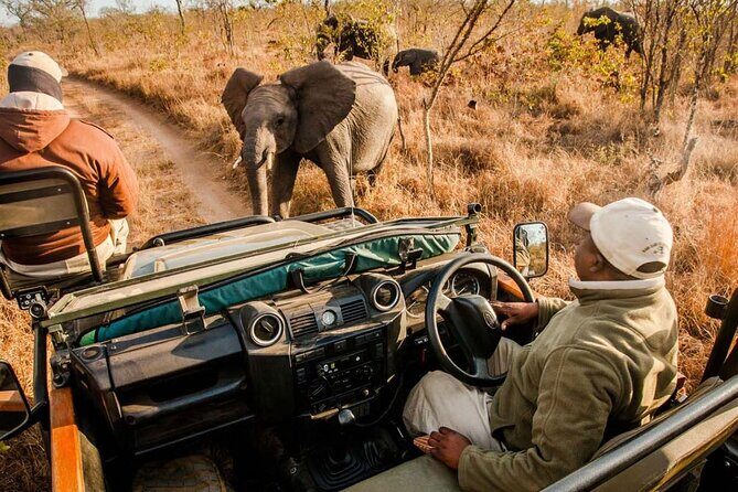 10 Day South Africa Tour- Johannesburg- Kruger Park - Durban - Cape Town - Safari Adventures at Addo Elephant Park