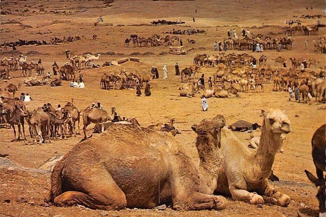 10 day tour of Morocco from Marrakech - References