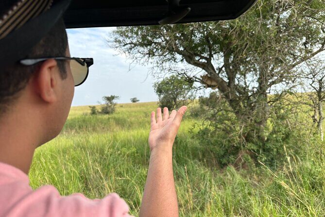 10 Day Uganda Memorable Lifetime Gorilla and Chimpanzee Safari - Key Points
