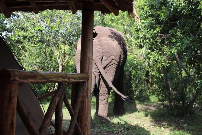 10 Day Western Uganda Budget Wildlife Safari - Final Thoughts