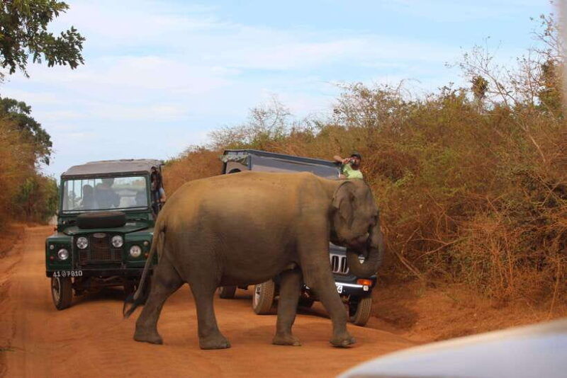 10-day-wild-life-sri-lanka-tour