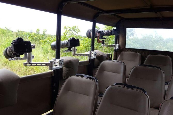 10 Day Wildlife Photographic Safari - Kruger National Park - B1 Photo Safaris - What Makes This Safari Stand Out