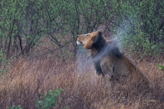 10 Day Wildlife Photographic Safari - Kruger National Park - B1 Photo Safaris - Who Would Benefit Most from This Tour?