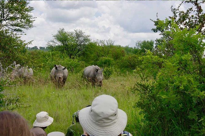 10 Day Zimbabwe and Chobe NP Tour - A Practical Overview of the Itinerary
