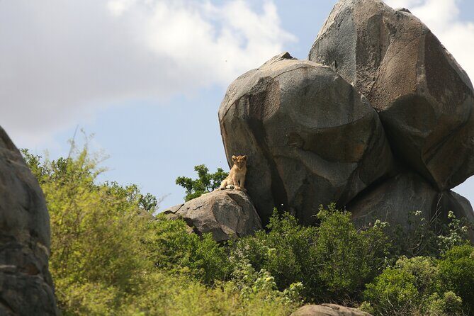 10 Days 9 Nights Exposure Africa Premium Safari Package - FAQ