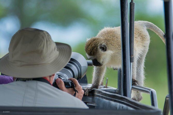10 Days / 9 Nights Join group safari - The Adventure Begins in Arusha