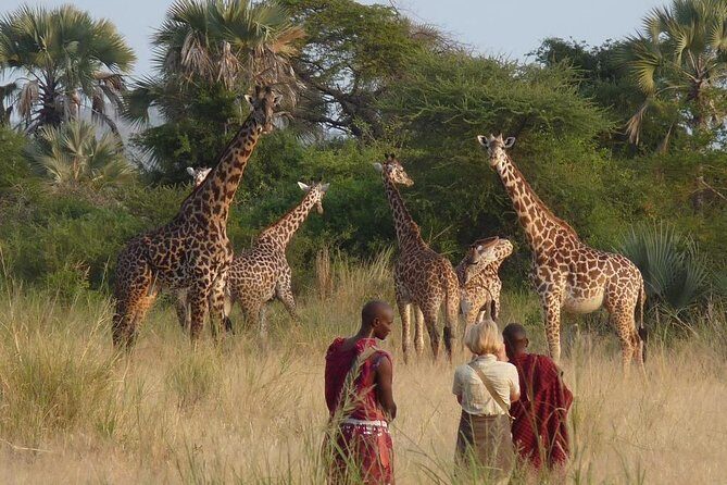 10 Days / 9 Nights Join group safari - Lake Manyara: Birdwatching and Unique Ecosystems