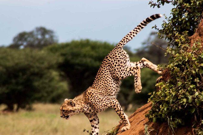 10 Days / 9 Nights Join group safari - Serengeti: The Iconic Plains and Migration