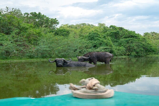 10 Days Affordable Gorilla Trekking Holiday - Exploring Uganda in 10 Days