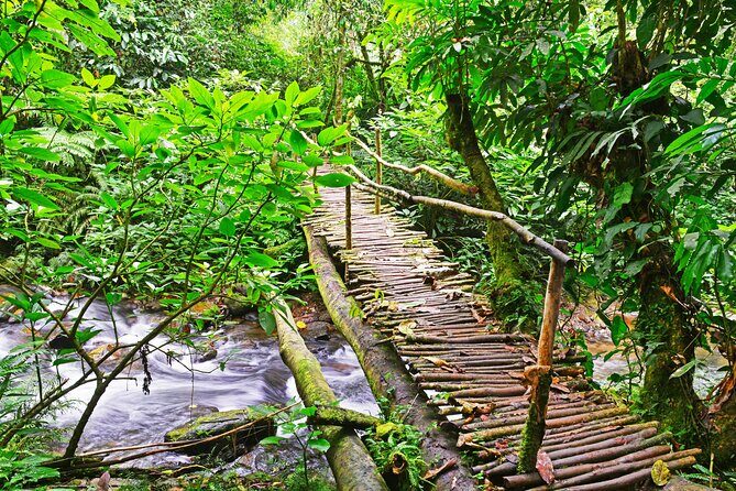 10 Days Affordable Gorilla Trekking Holiday - Who Would Love This Tour?