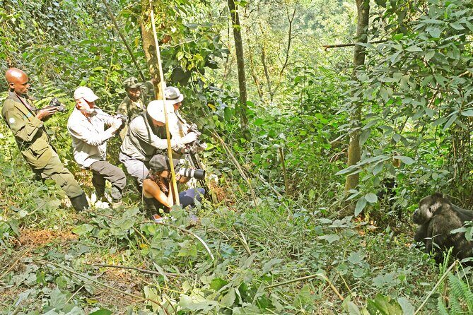 10 Days Affordable Gorilla Trekking Holiday - Final Thoughts
