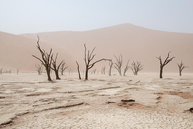 10 DAYS BEAUTY OF NAMIBIA | Guided Lodge - The Itinerary in Detail