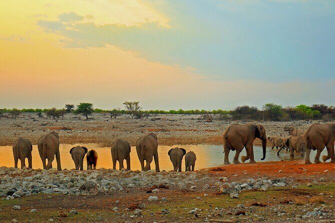 10 DAYS BEAUTY OF NAMIBIA | Guided Lodge - Final Thoughts