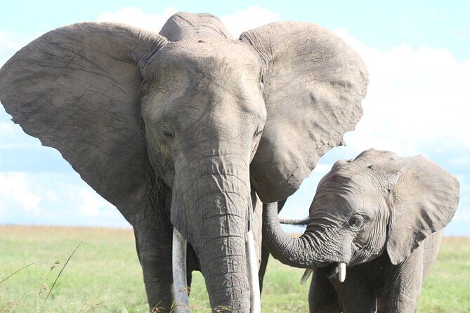10 -Days Best of Kenya and Tanzania Classic Safari - Final Thoughts: Who Should Consider This Safari?  
