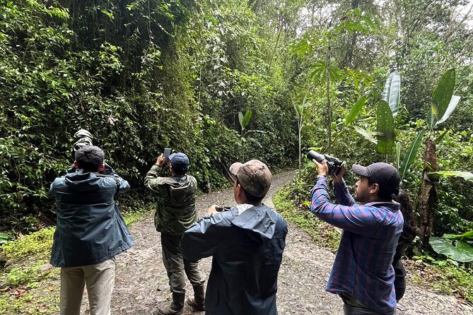 10-days-birding-photo-tour-from-andes-to-amazon-of-ecuador