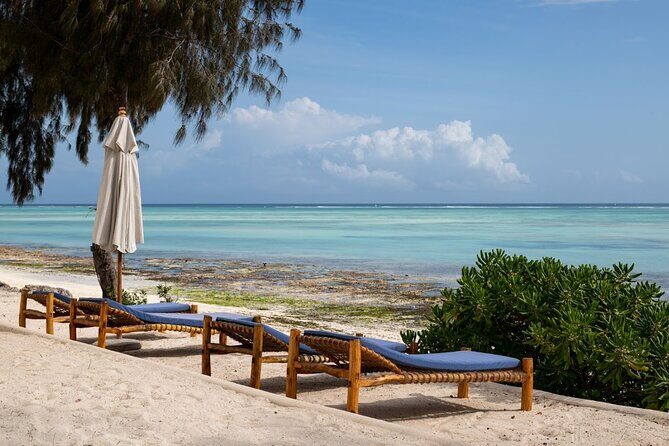 10 Days Budget Nothern Circuit Safari and Zanzibar Holiday - Who Should Consider This Tour?