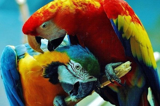 10-days-costa-rica-pure-nature