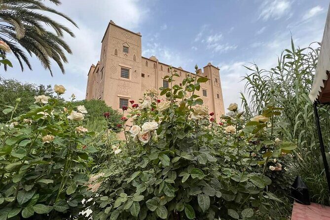 10 Days From Casablanca Luxury Tour - Final Thoughts: Who Is This Tour Perfect For?