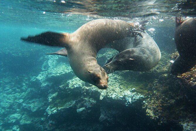 10-days-galapagos-island-hopping